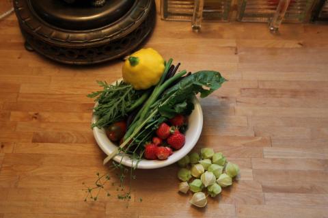 Shungiku greens, green and purple beans, yellow pattypan squash, swiss chard, parsley, celery leaves and seeds, tomatoes, strawberries, and ground cherries.